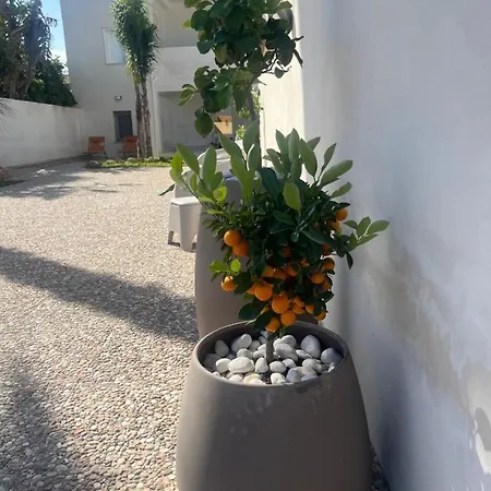 Mare In Giulia Sul Mare Apartment *