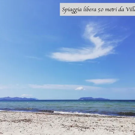 Mare In Giulia Sul Mare *
